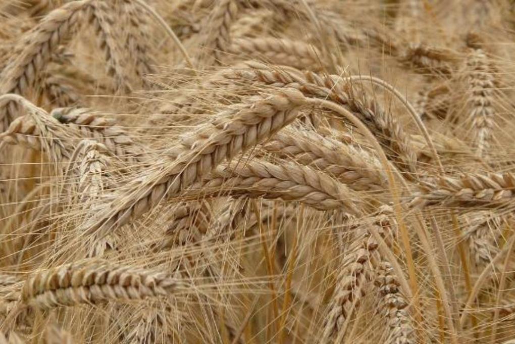 e0e58e863d1dc2dda965d9d3c0c468de_1280x720