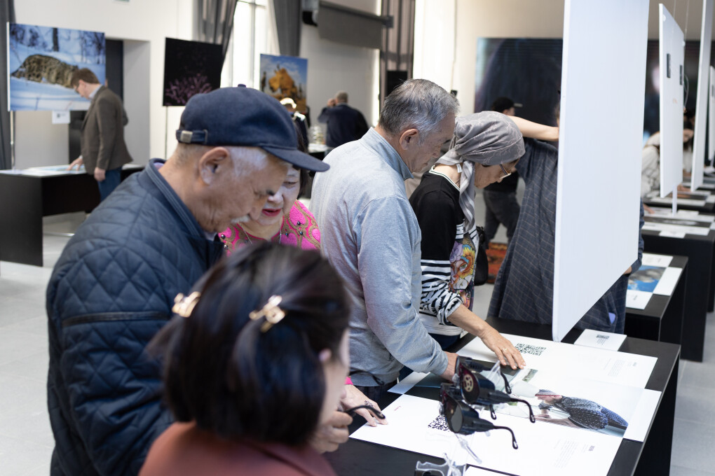 Әйелі өзін таяқпен сипалайды