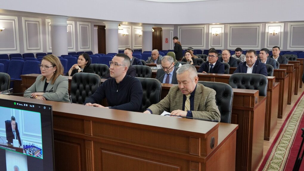 фото мади салык (1)