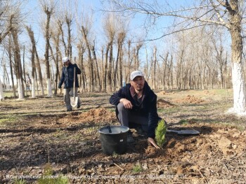 image-04-04-25-06-11