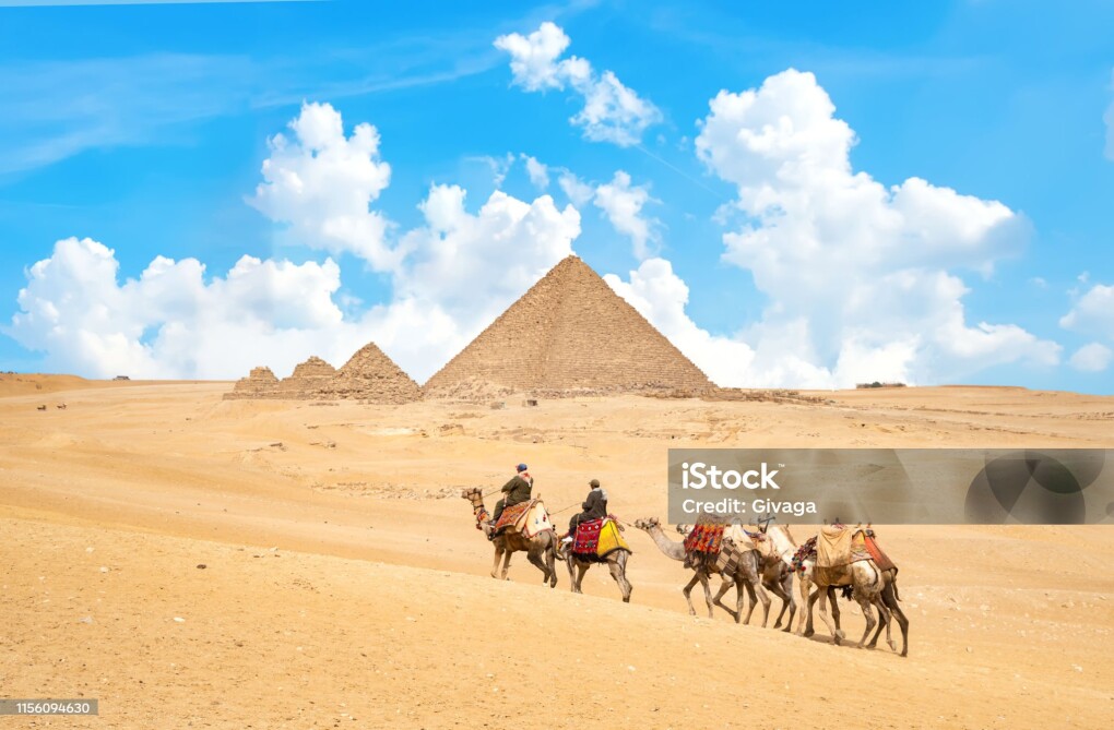 Camels in sandy desert near mountains at sunset