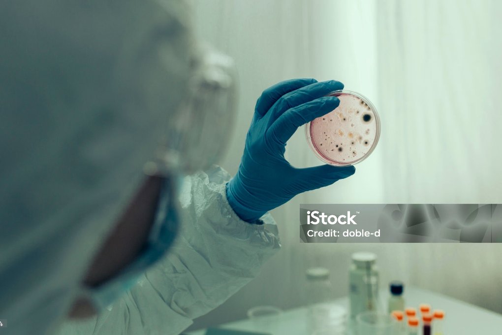 istockphoto-1186936184-2048x2048