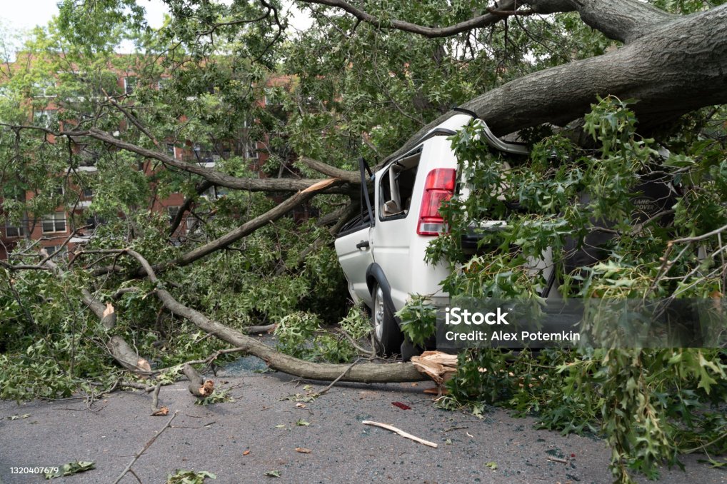 istockphoto-1320407679-2048x2048