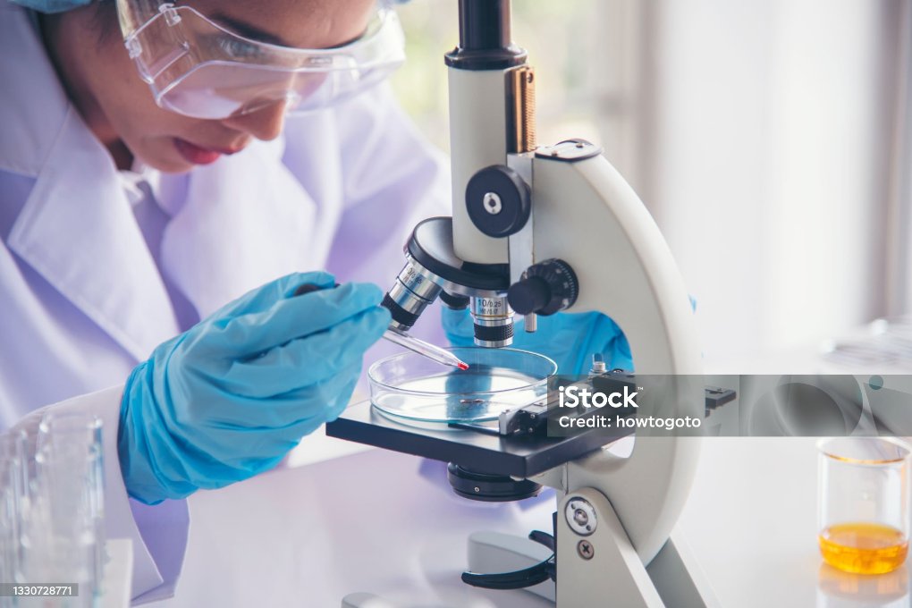 istockphoto-1330728771-2048x2048