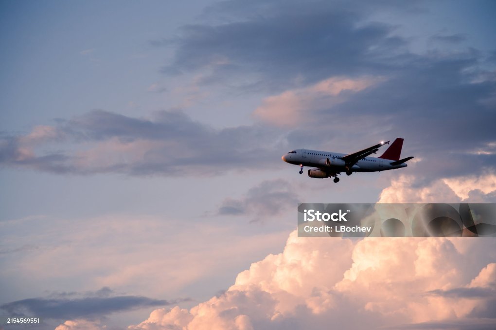 istockphoto-2154569551-2048x2048