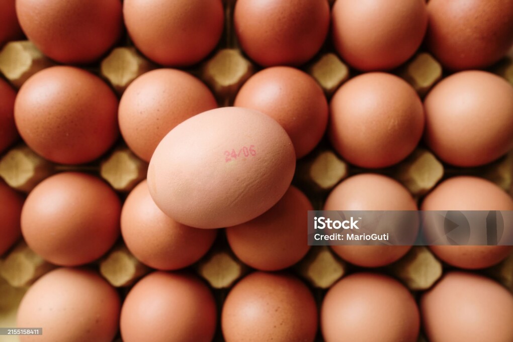 Egg with printed expiration date on its shell
