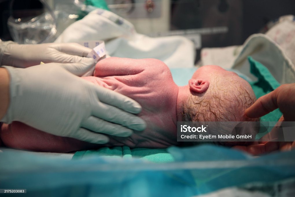 istockphoto-2175203083-2048x2048