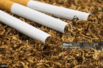 Tobacco With Cigarettes, close up of smokint utensils