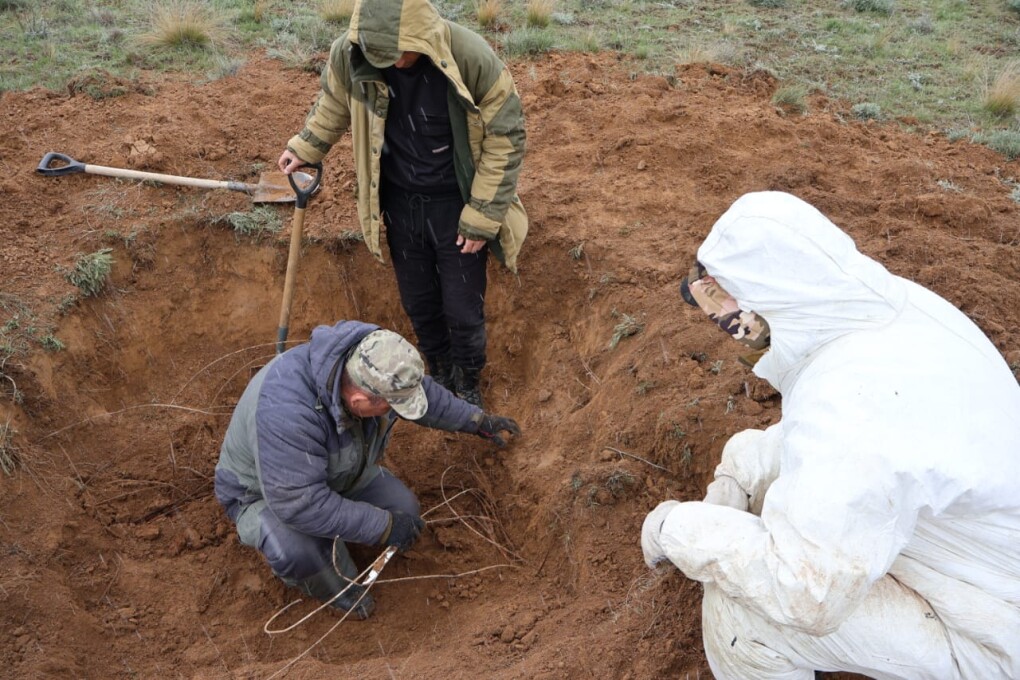 іздестіру тобы (1) (1)