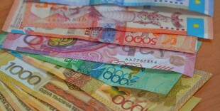 Премия для НПО: прием заявок продлится до 1 сентября