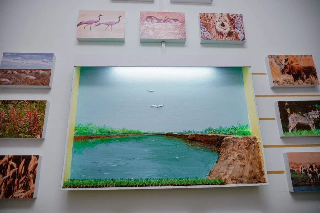 жп мамандар галереясы ЦБР АКЖАЙЫК (1)