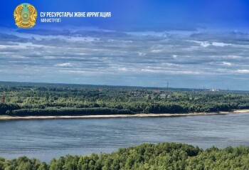 1267e990-8c0c-45a6-a6ec-4c5af98db64b (1)