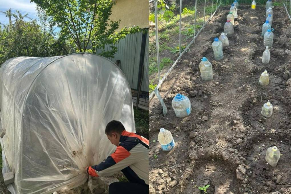 48e8d798-a44c-4aeb-a874-f6eeb743f9e1