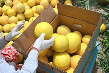 4ea22a5aff2db444d70c0bb2e7c536fa_1280x720