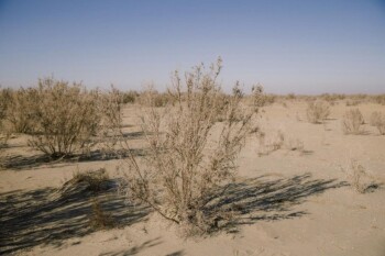 6836e3b33e5ef545196994