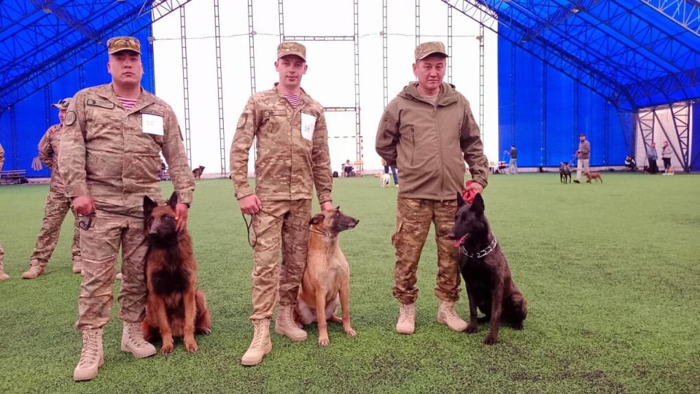 72ad958a9571a0cc80cf70133d0f0cf9_1280x720