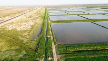 91304173145e76ed8b3e32149766f275_1280x720