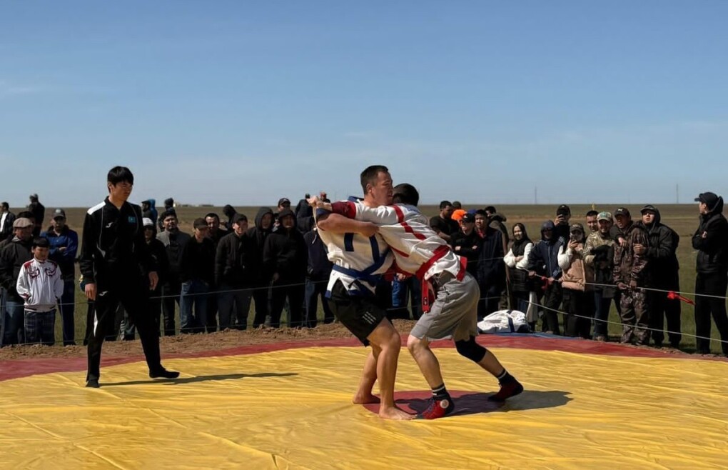 IMG-20250504-WA0030 (1)