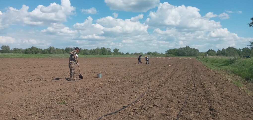 Изображение WhatsApp 2025-05-27 в 16.04.16_cb5765e6