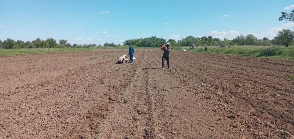 Изображение WhatsApp 2025-05-27 в 16.04.54_3c09eb98