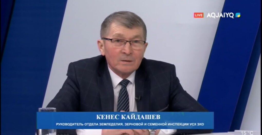 Кеңес Қайдашев