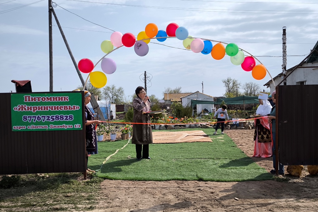 Питомник (3)