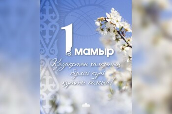 WhatsApp Image 2025-05-01 at 09.41.34