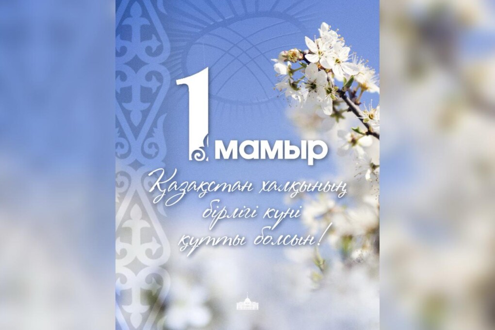 WhatsApp Image 2025-05-01 at 09.41.34