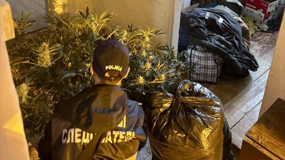 WhatsApp-Image-2025-05-02-at-14.18.18