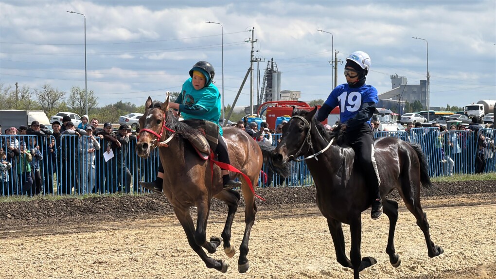 WhatsApp Image 2025-05-03 at 15.31.07