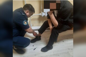 WhatsApp Image 2025-05-14 at 11.56.12