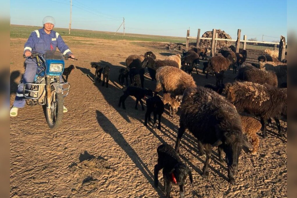 WhatsApp Image 2025-05-14 at 16.48.35