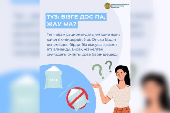 WhatsApp Image 2025-05-15 at 13.06.05