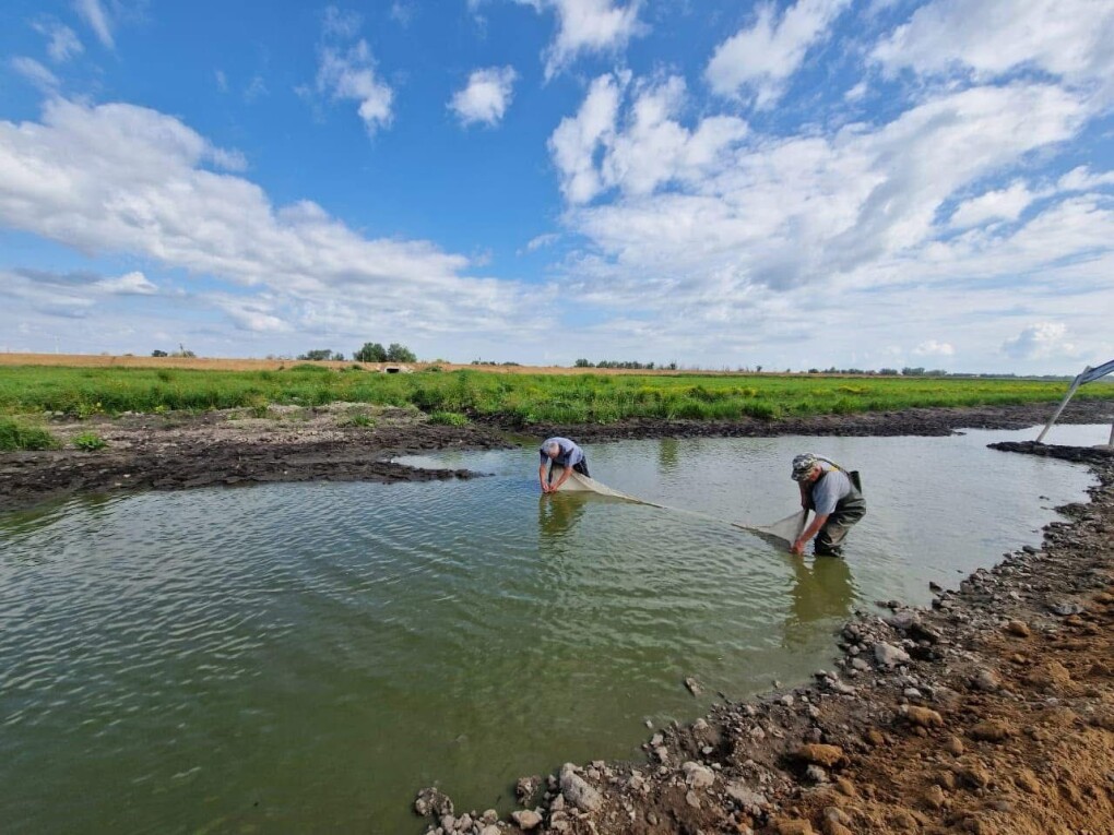 WhatsApp Image 2025-05-19 at 19.19.46