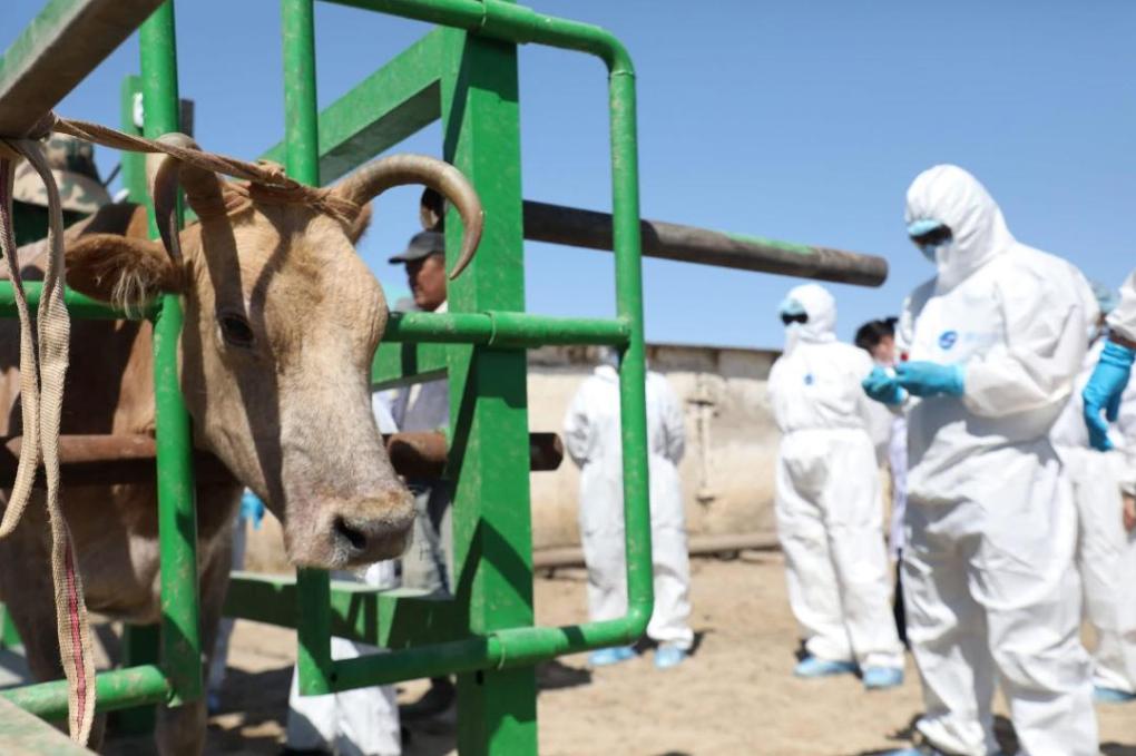 beb84334819fd0ee65627f9becab73aa_1280x720