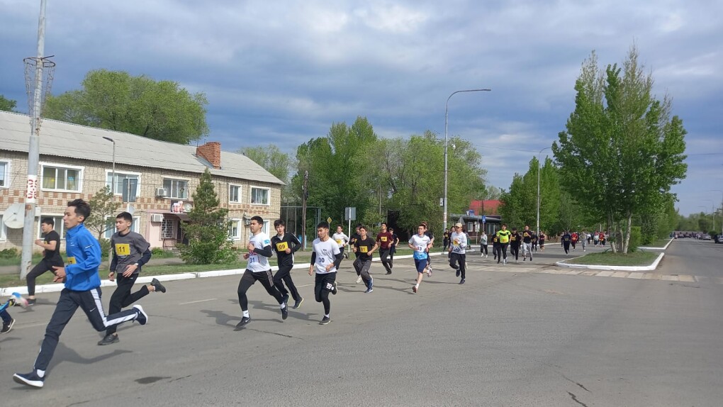 e53f837d-65bb-43f9-82e2-4c9e59d51b40