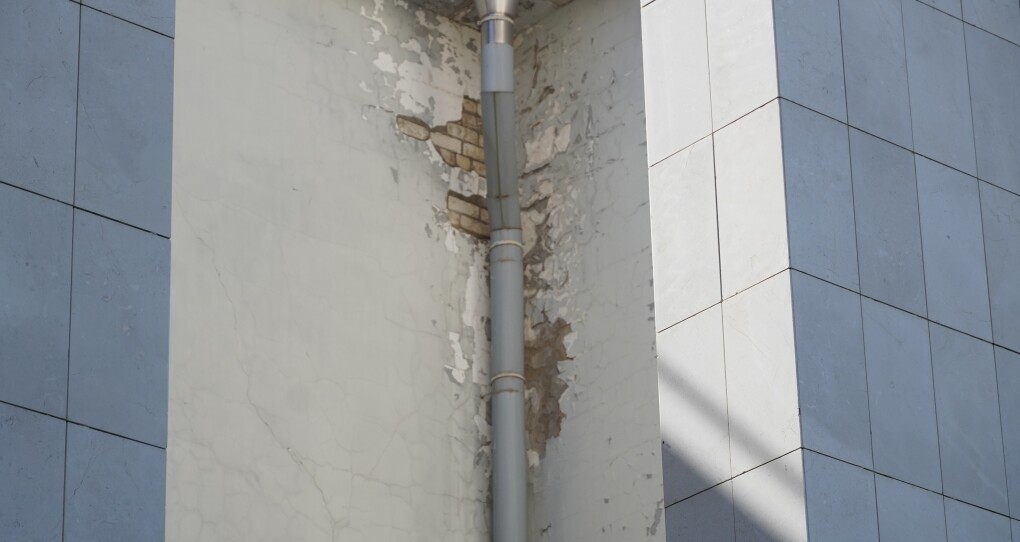 фото мади салык2