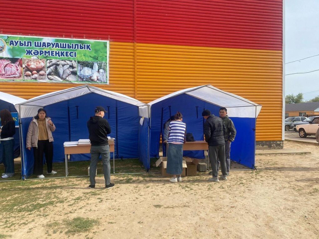 image-02-05-25-02-35-2