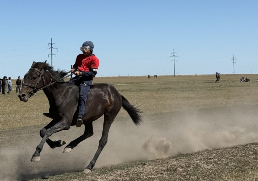 Құмырсқа жыныс мүшесін шағып алады Порно күйеуі досын шақырды