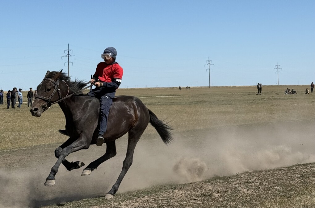 Порно әлеміндегі ең үлкен мүшелер