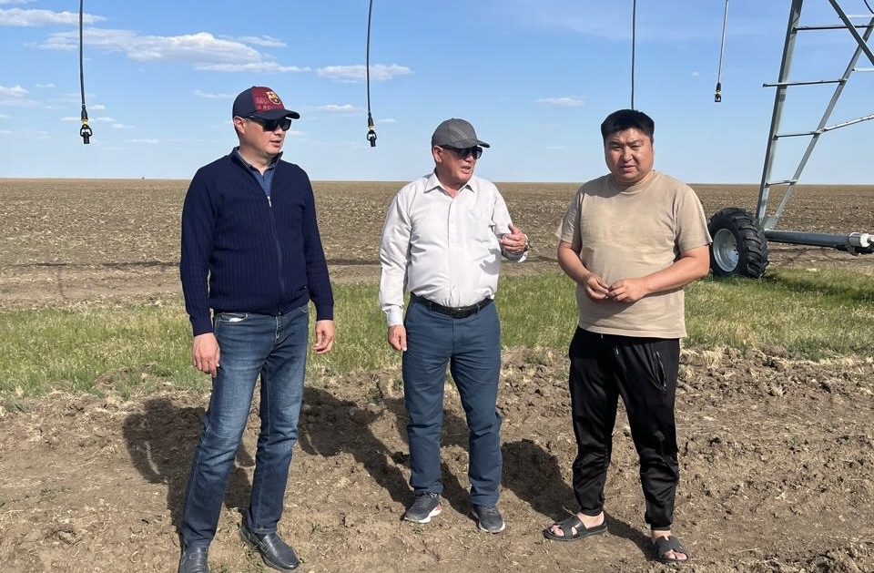 image-30-05-25-07-16