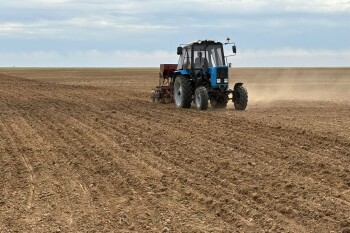 посевная (3)