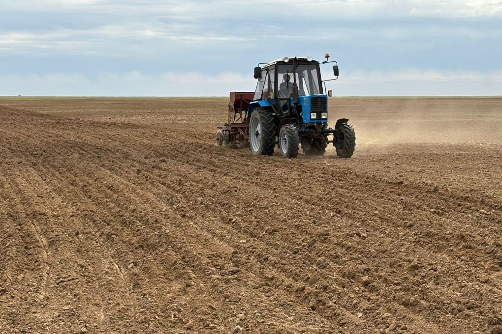 посевная (3)