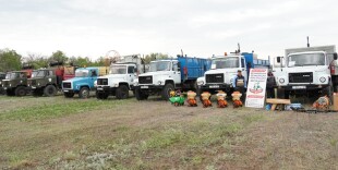 В ЗКО стартовала кампания по борьбе с саранчой
