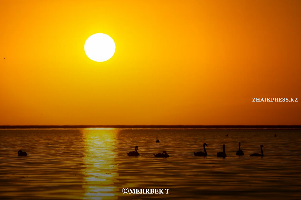 жп казах виллидж жанакала (6)