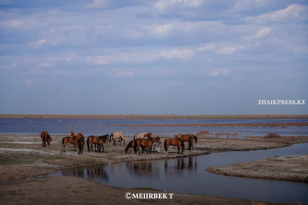 жп казах виллидж жанакала (7)
