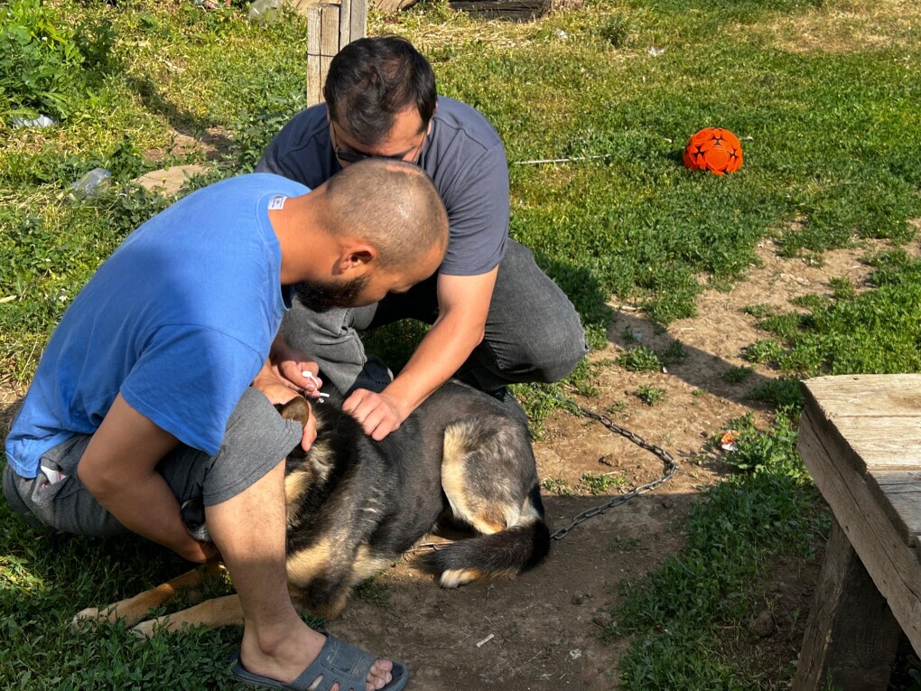 058635ca-6db2-4510-8ee1-96828a14ef9e