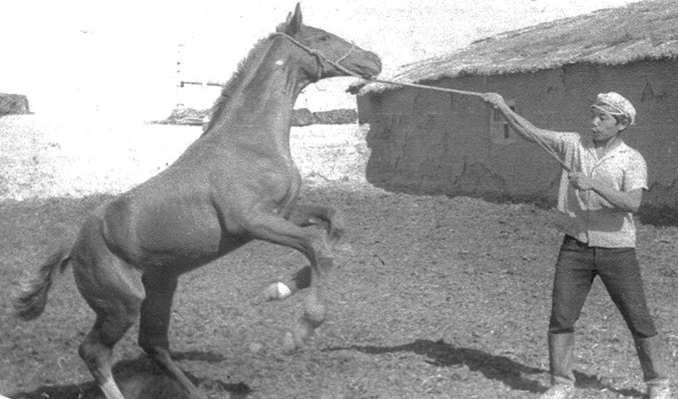 1067d3a9-9a6f-4922-bea4-4516ee0554e8