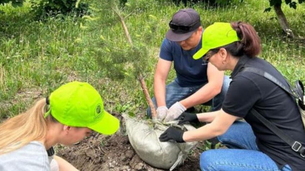 44b110c0-a130-4a00-b5e3-0c0a3c025b23