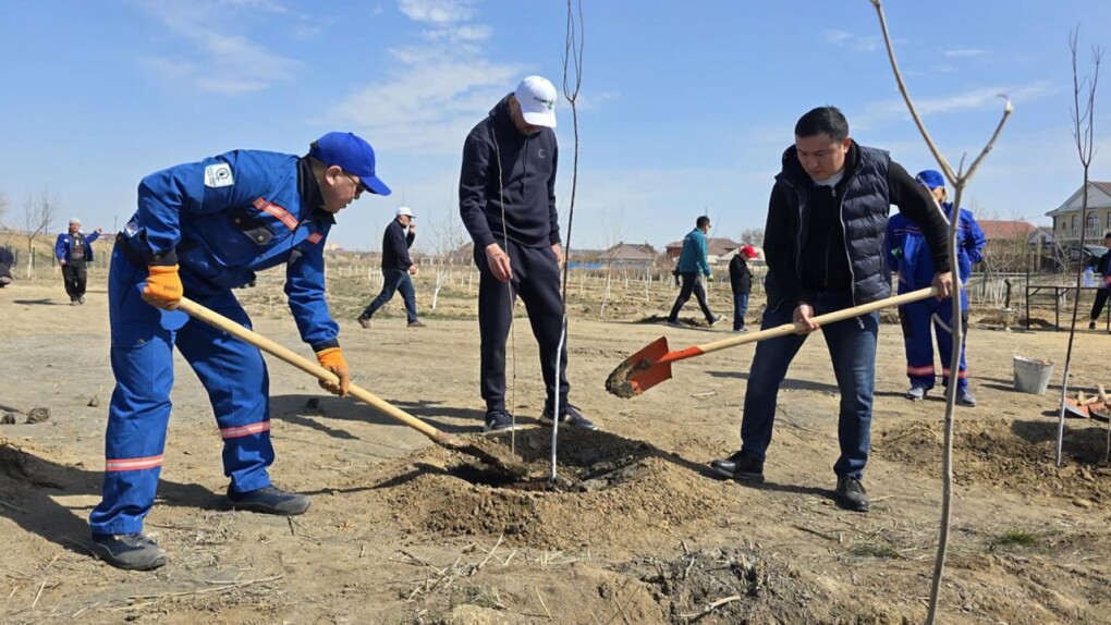 50be20bb-e49a-4d12-9ad3-0db91de19d2d